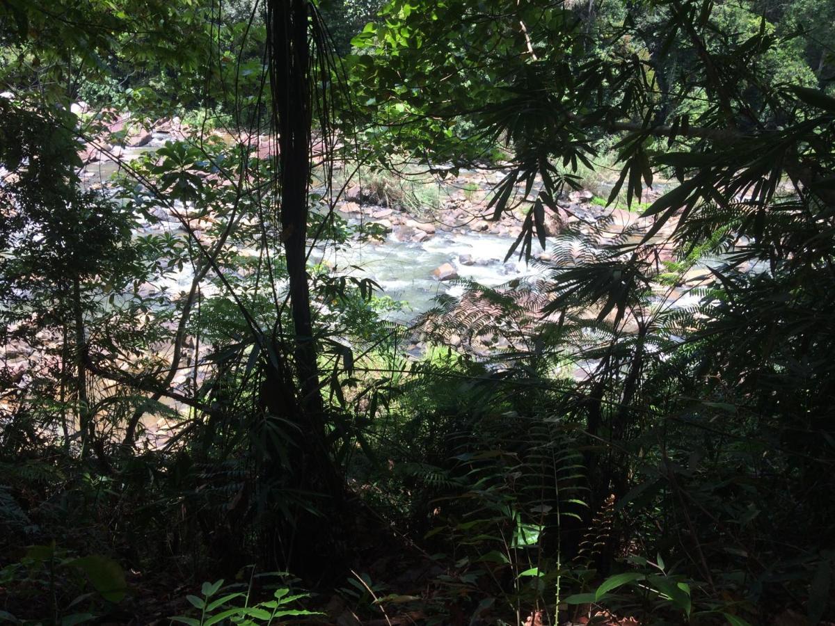 Sinharaja Forest Edge Денияйя Экстерьер фото