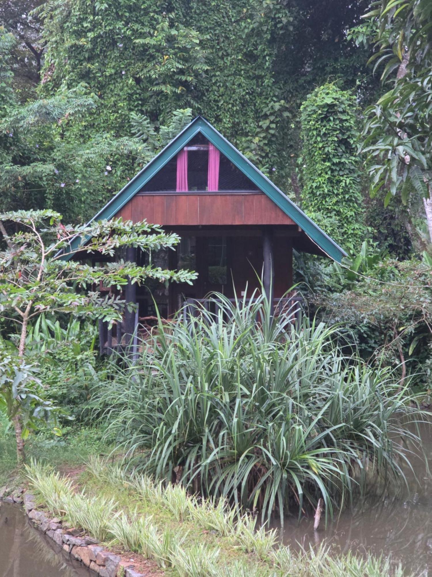 Sinharaja Forest Edge Денияйя Экстерьер фото