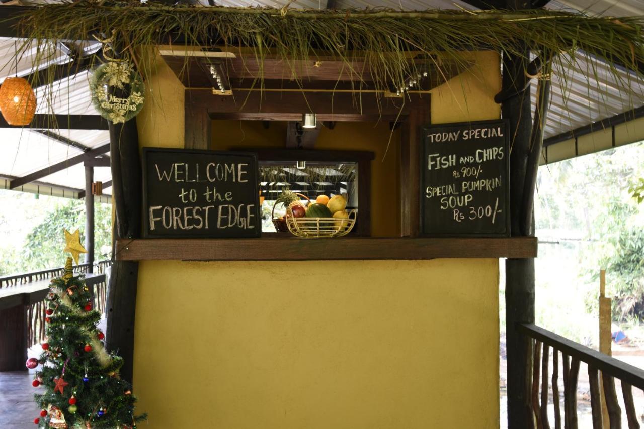 Sinharaja Forest Edge Денияйя Экстерьер фото
